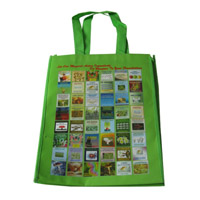 宿州LB11覆膜无纺布广告袋